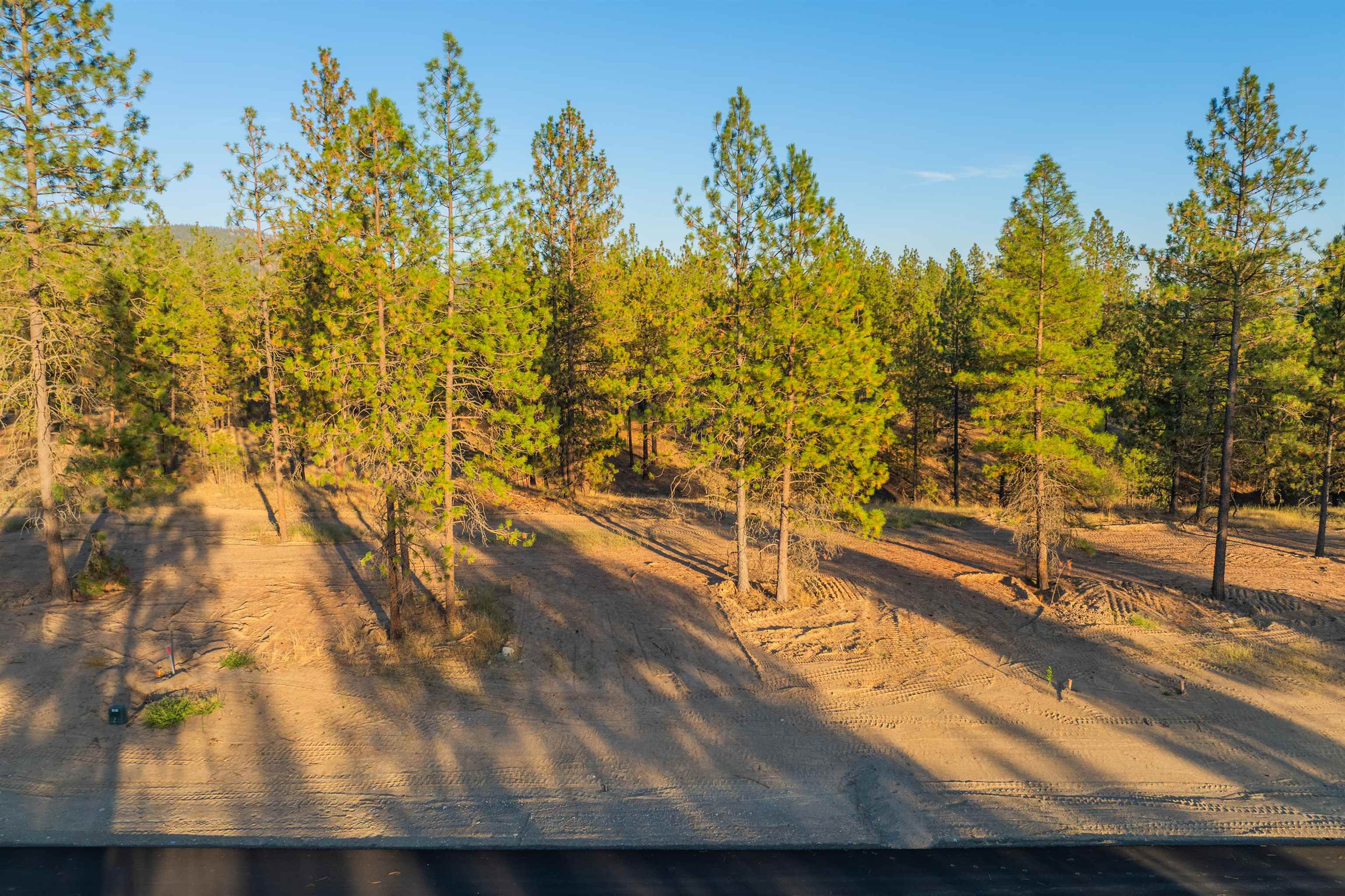 Vacant wooded lot with sandy cleared ground, pine trees, and paved road frontage.