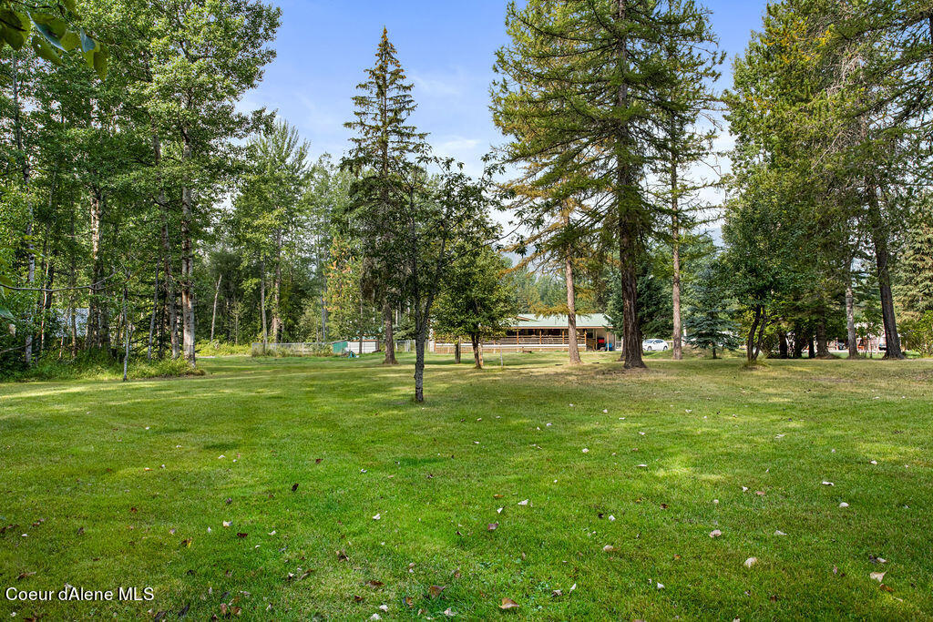 289 Whitetail Ranch Rd