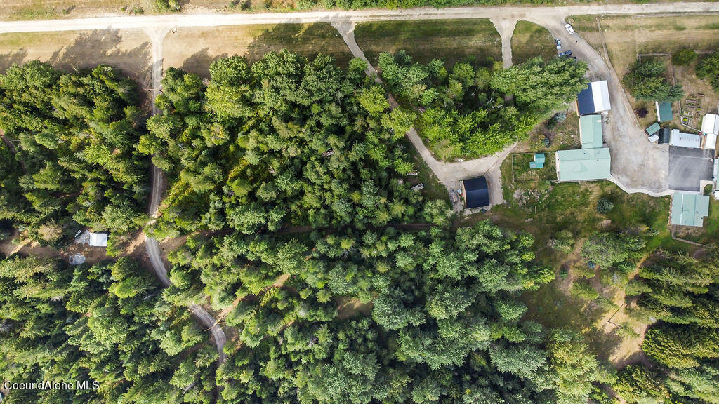 289 Whitetail Ranch Rd