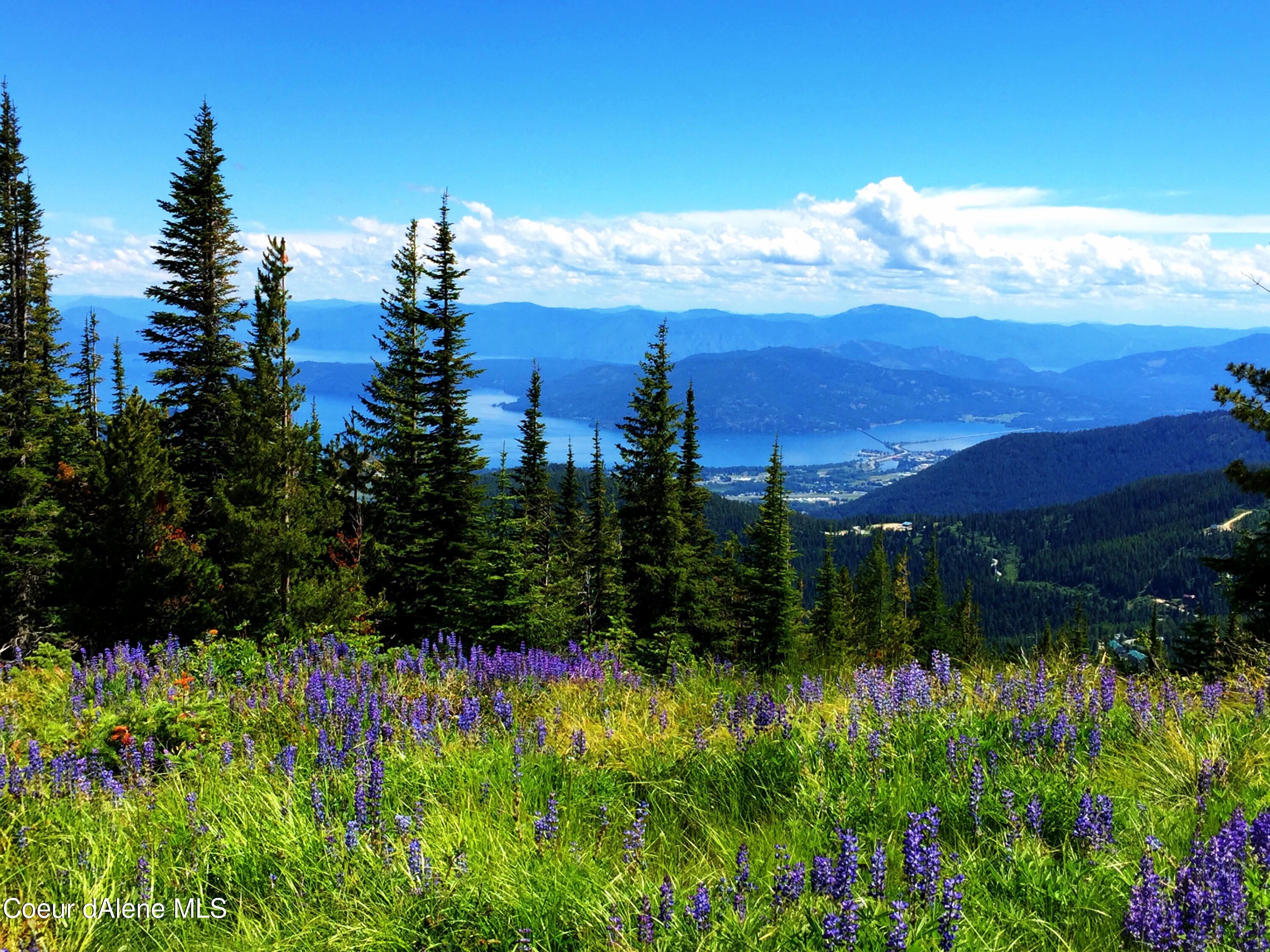 NNA Tall Timber Blk 3 Lot 1