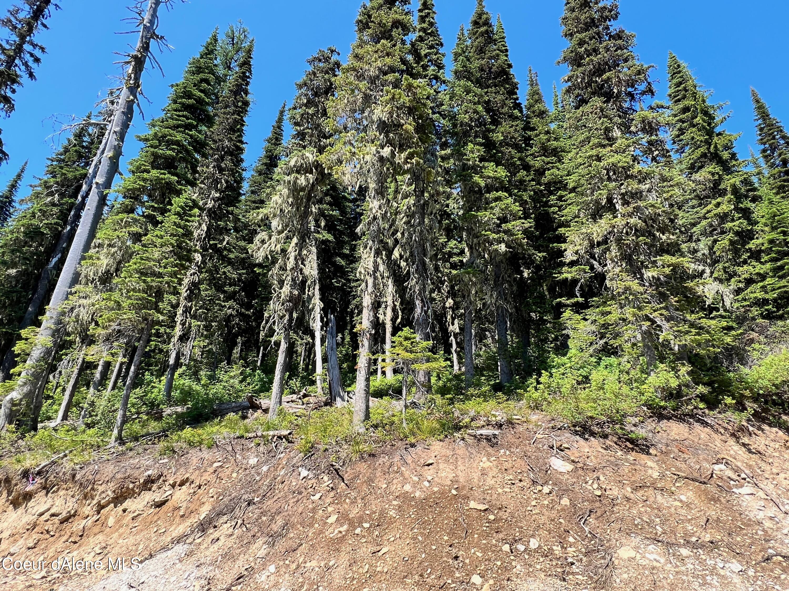 NNA Tall Timber Blk 3 Lot 1