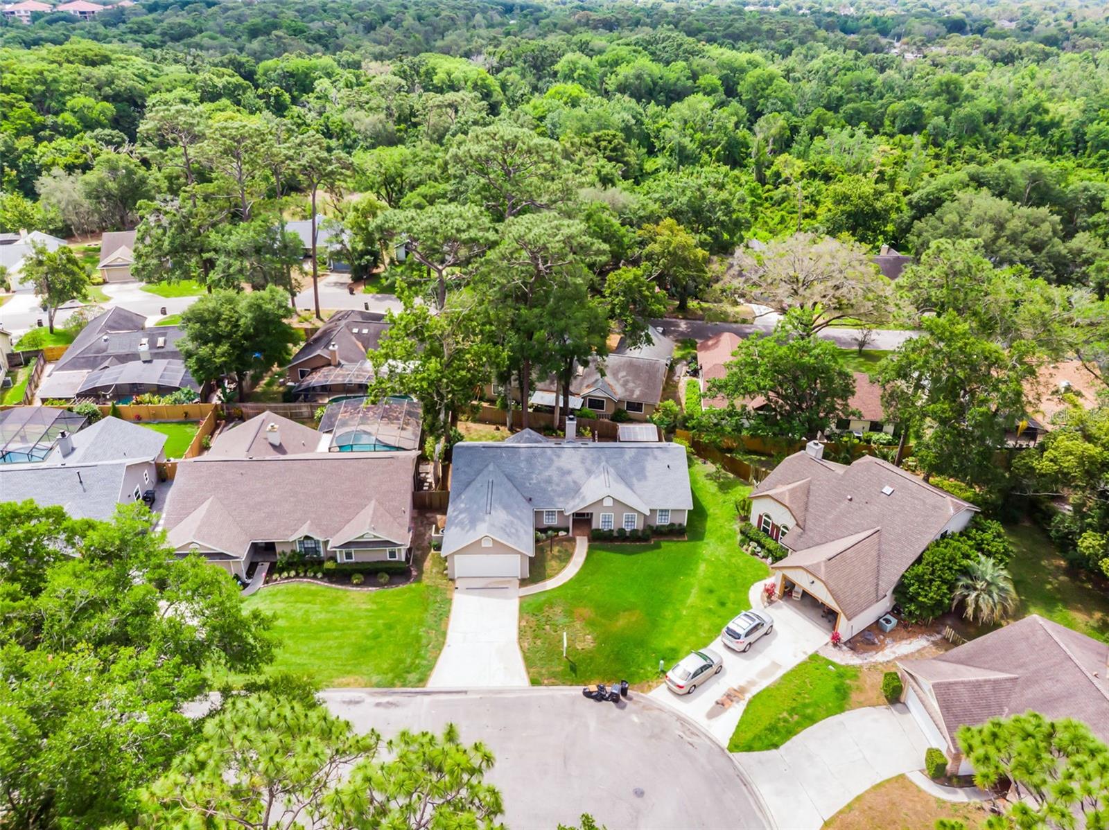 717 PINE TER