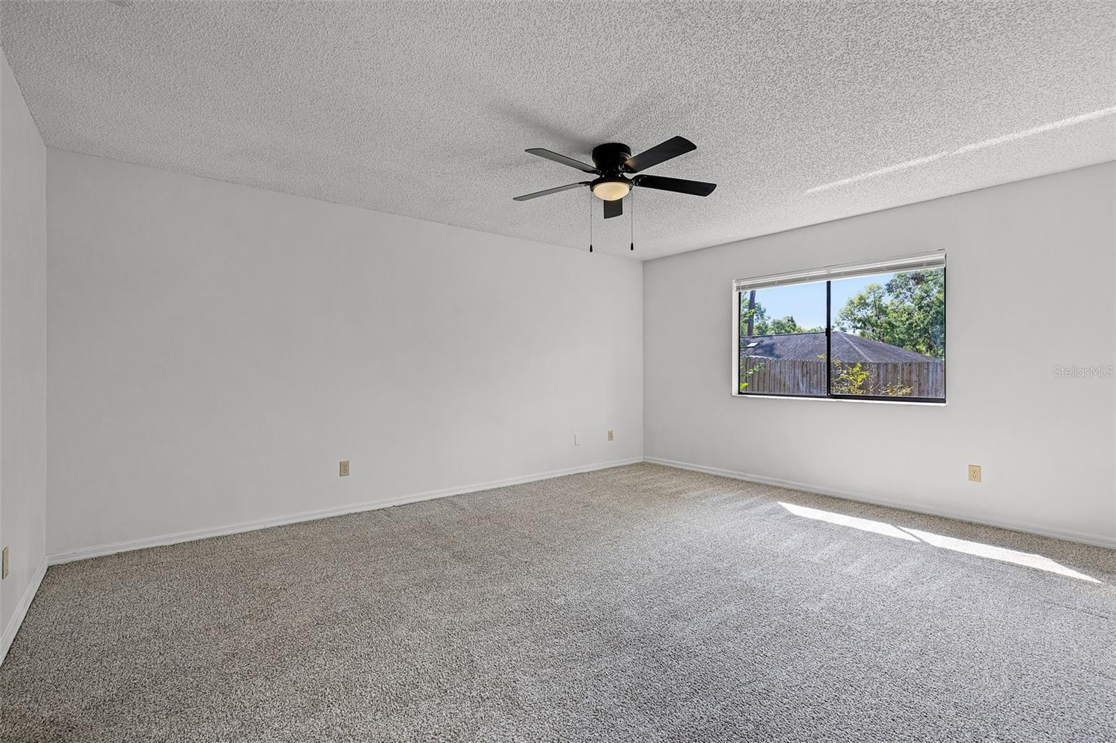 717 PINE TER