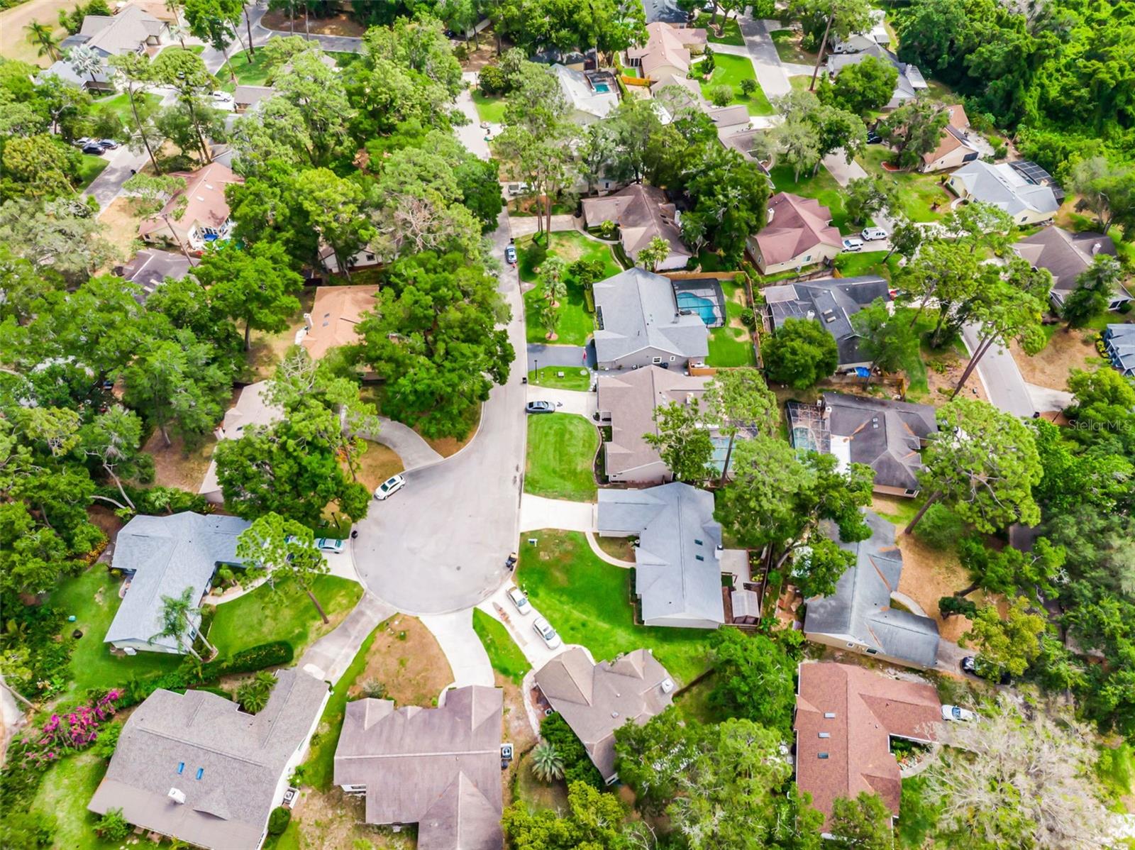 717 PINE TER