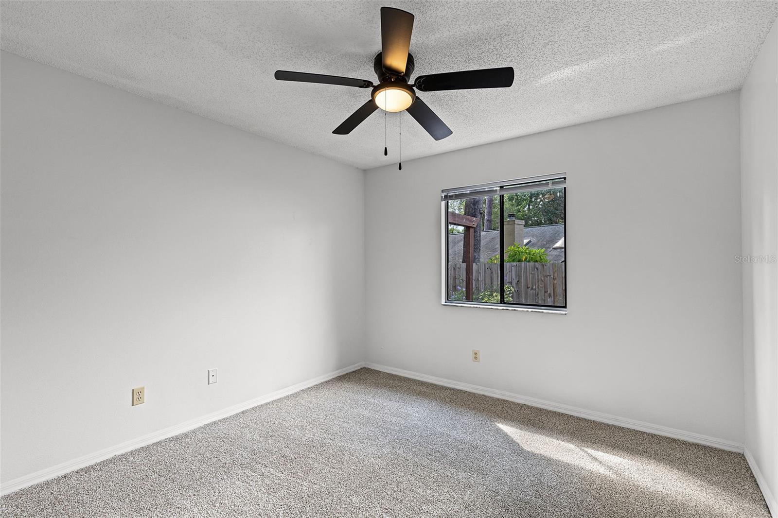 717 PINE TER