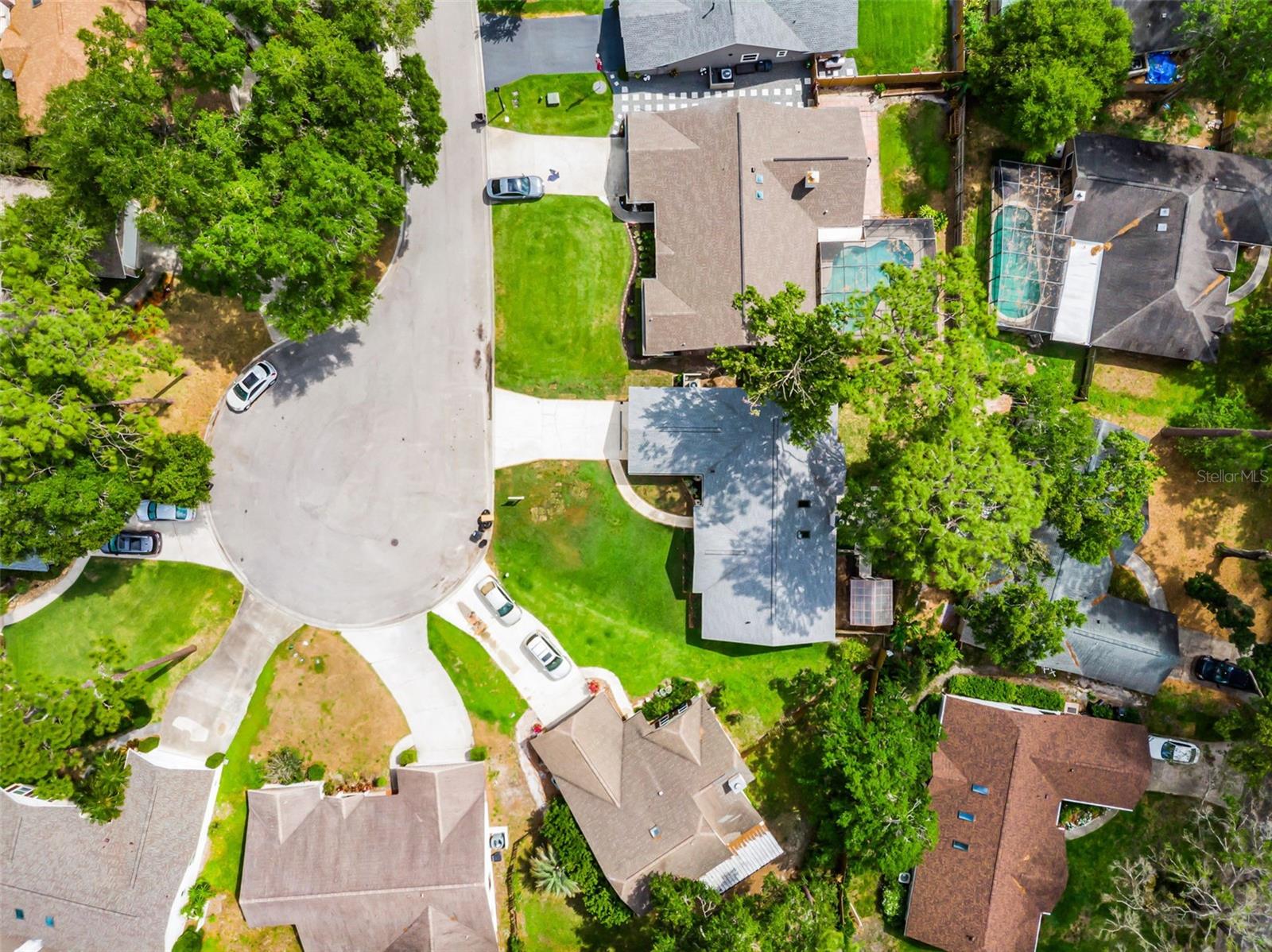 717 PINE TER
