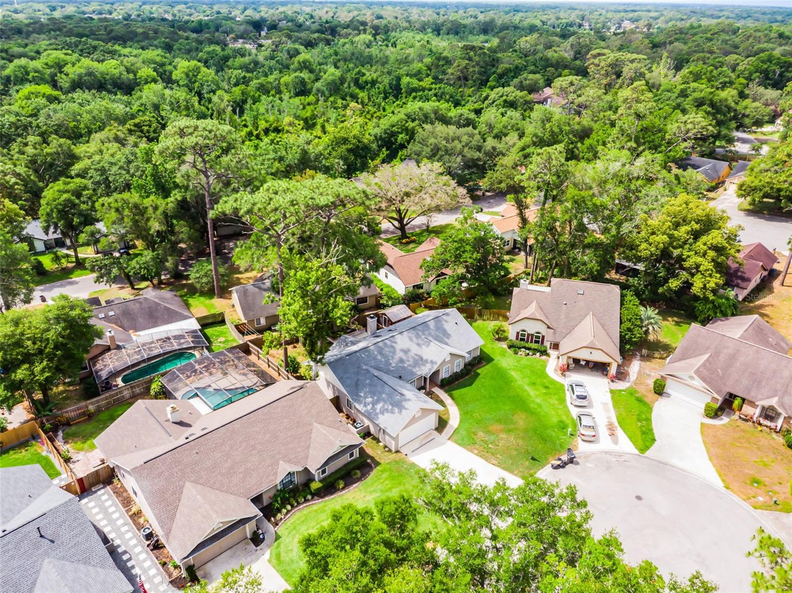 717 PINE TER