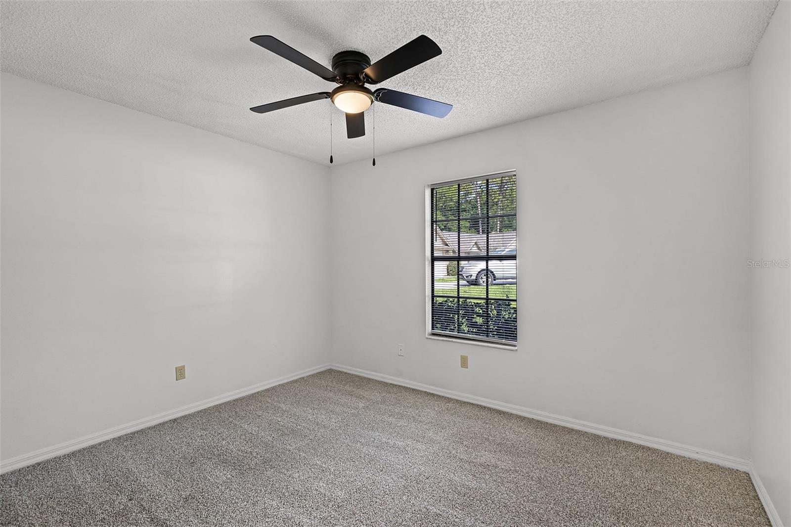 717 PINE TER