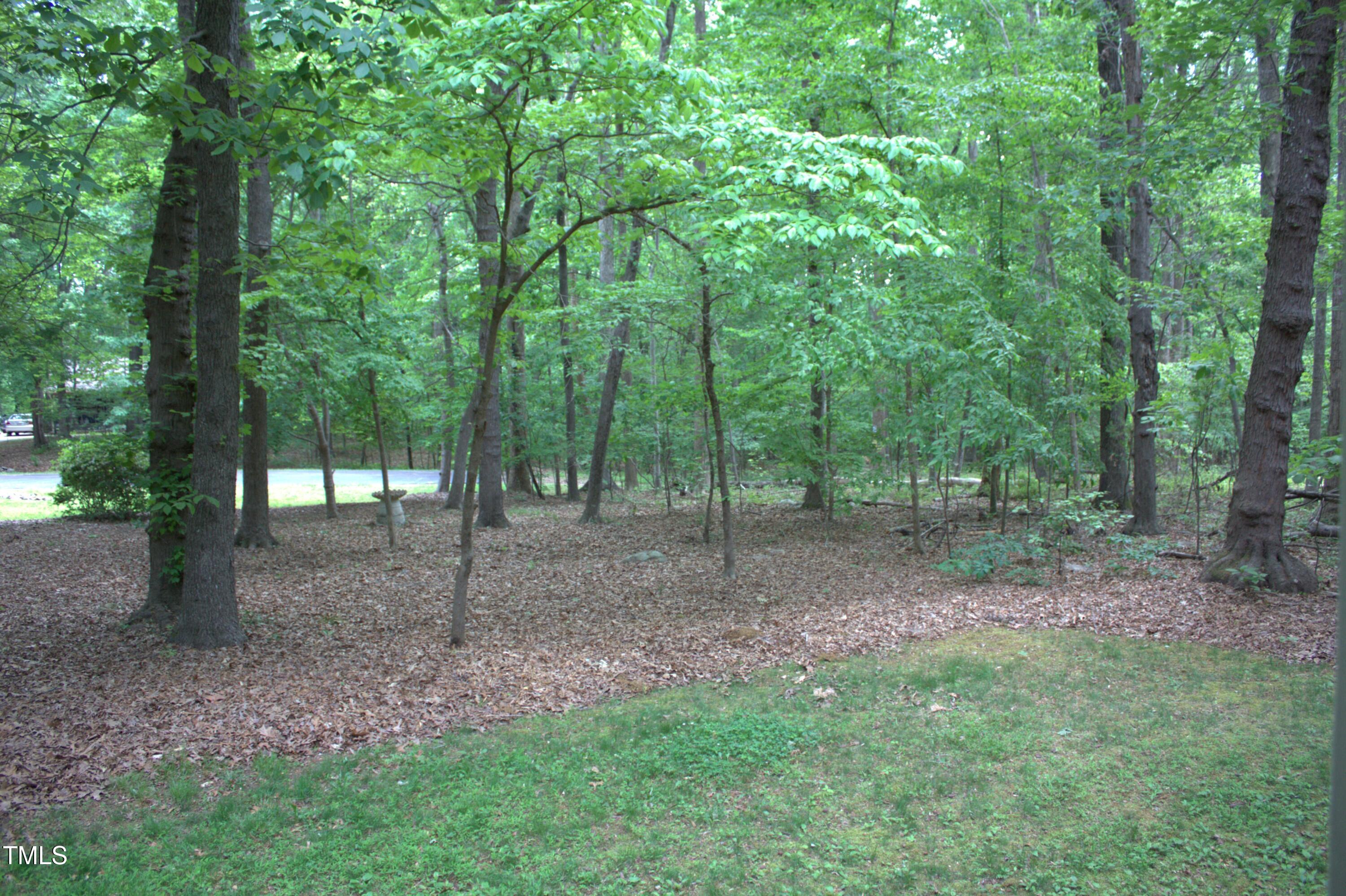 2603 Red Pine Road