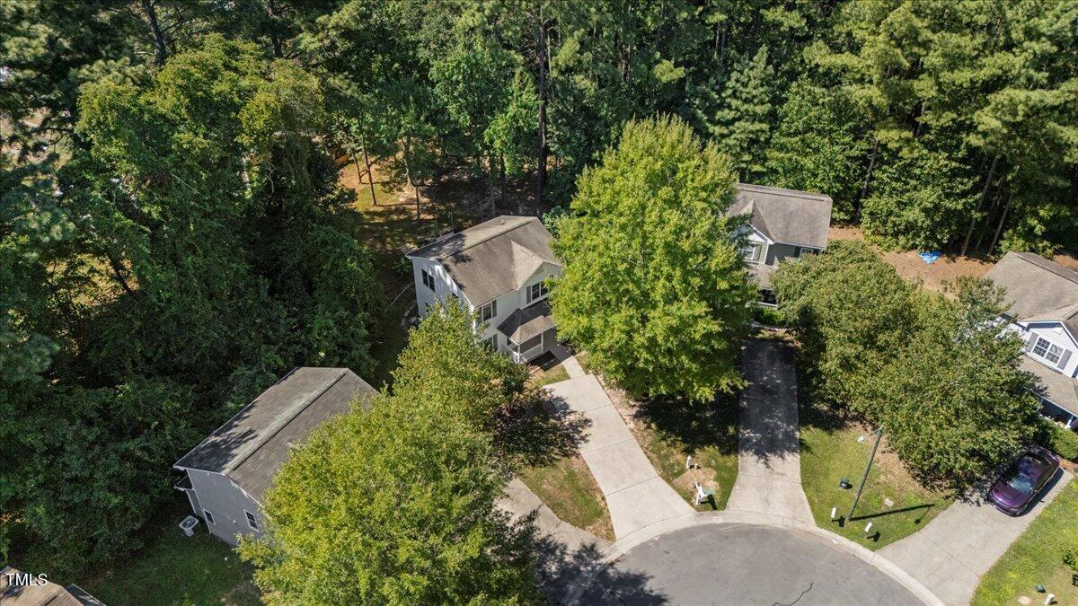 2804 Lutz Lane