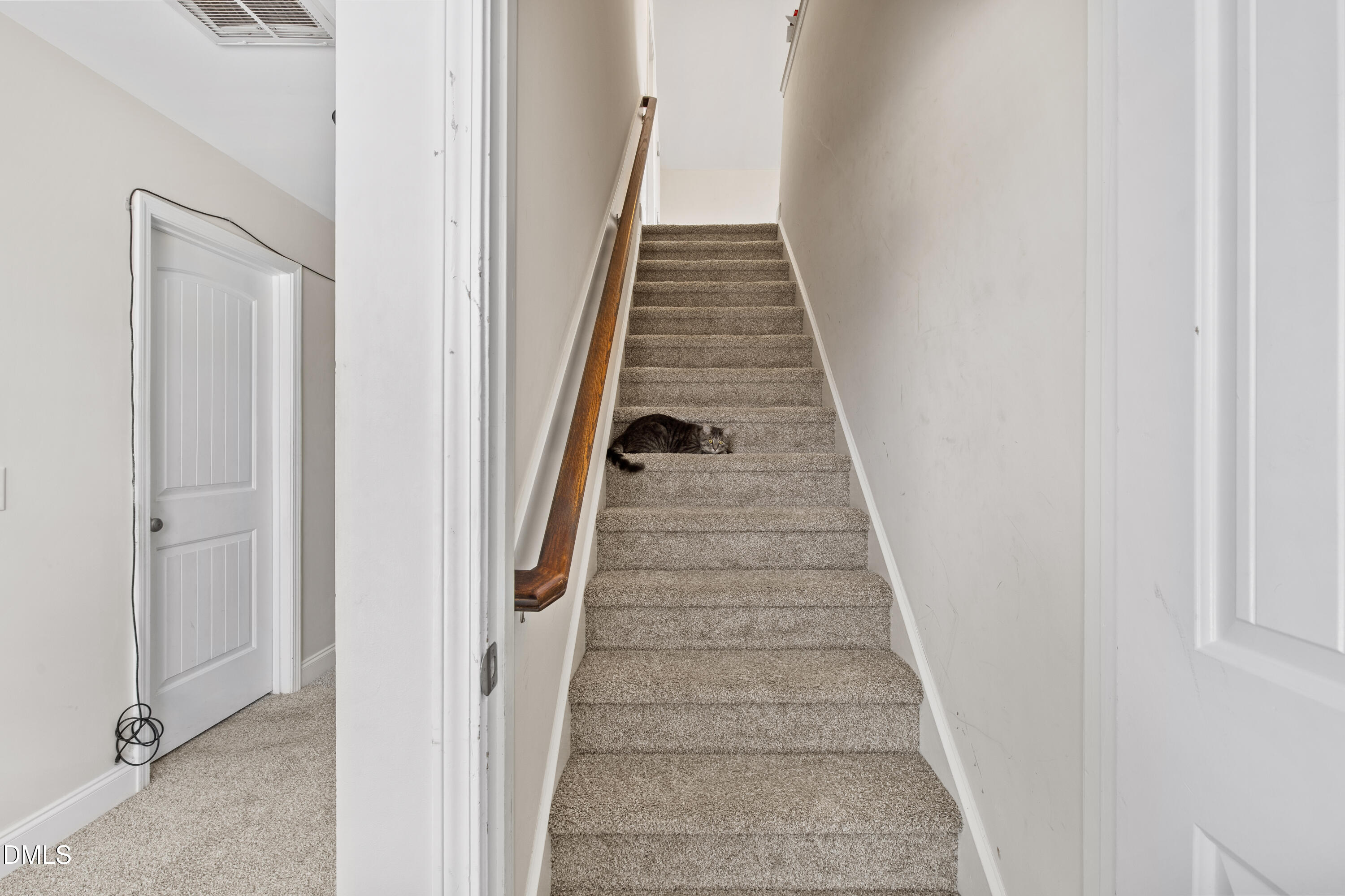 2413 Cattail Pond Drive