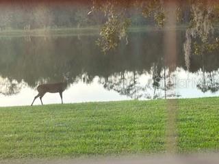 14748 TANJA KING BLVD