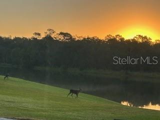 14748 TANJA KING BLVD