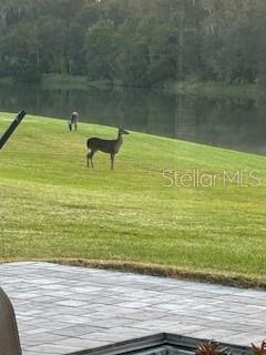 14748 TANJA KING BLVD