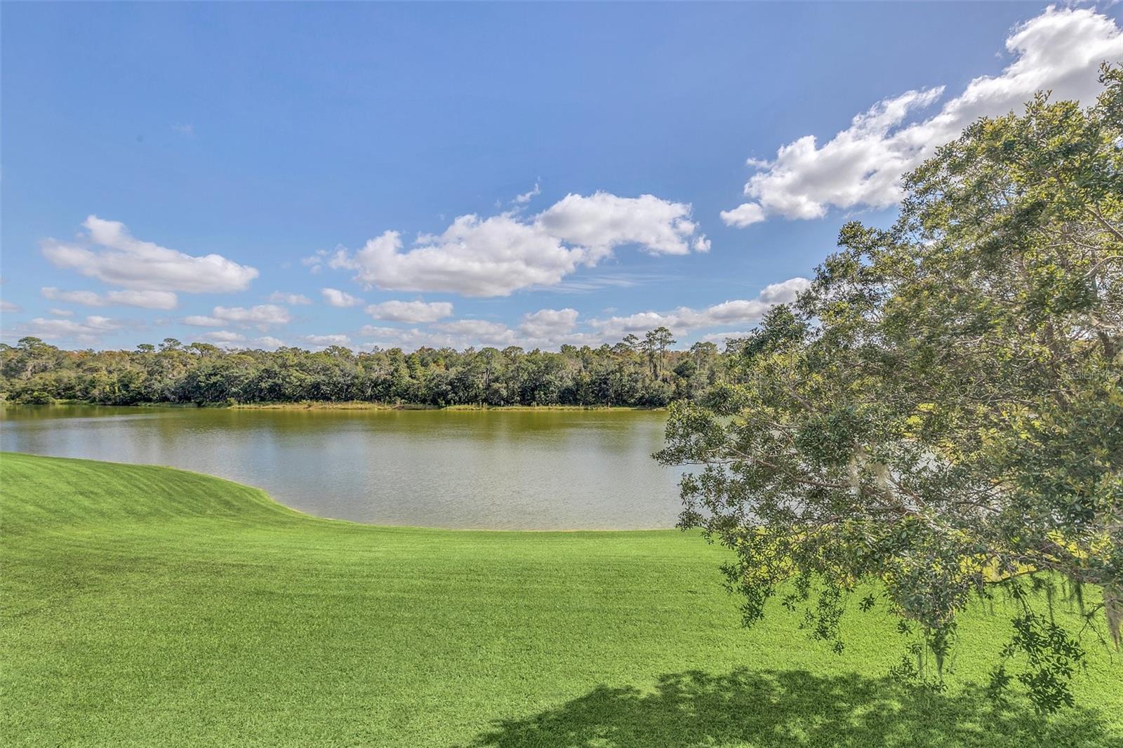 14748 TANJA KING BLVD