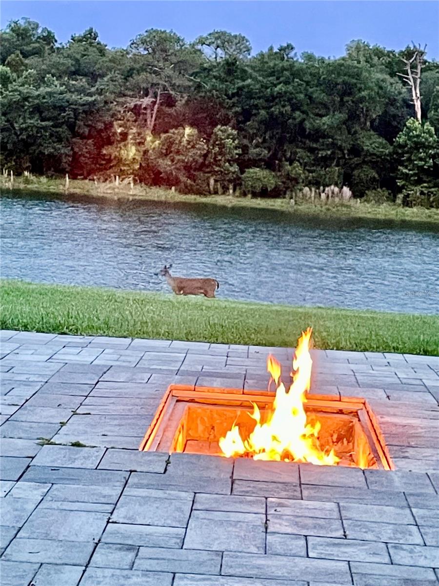 14748 TANJA KING BLVD