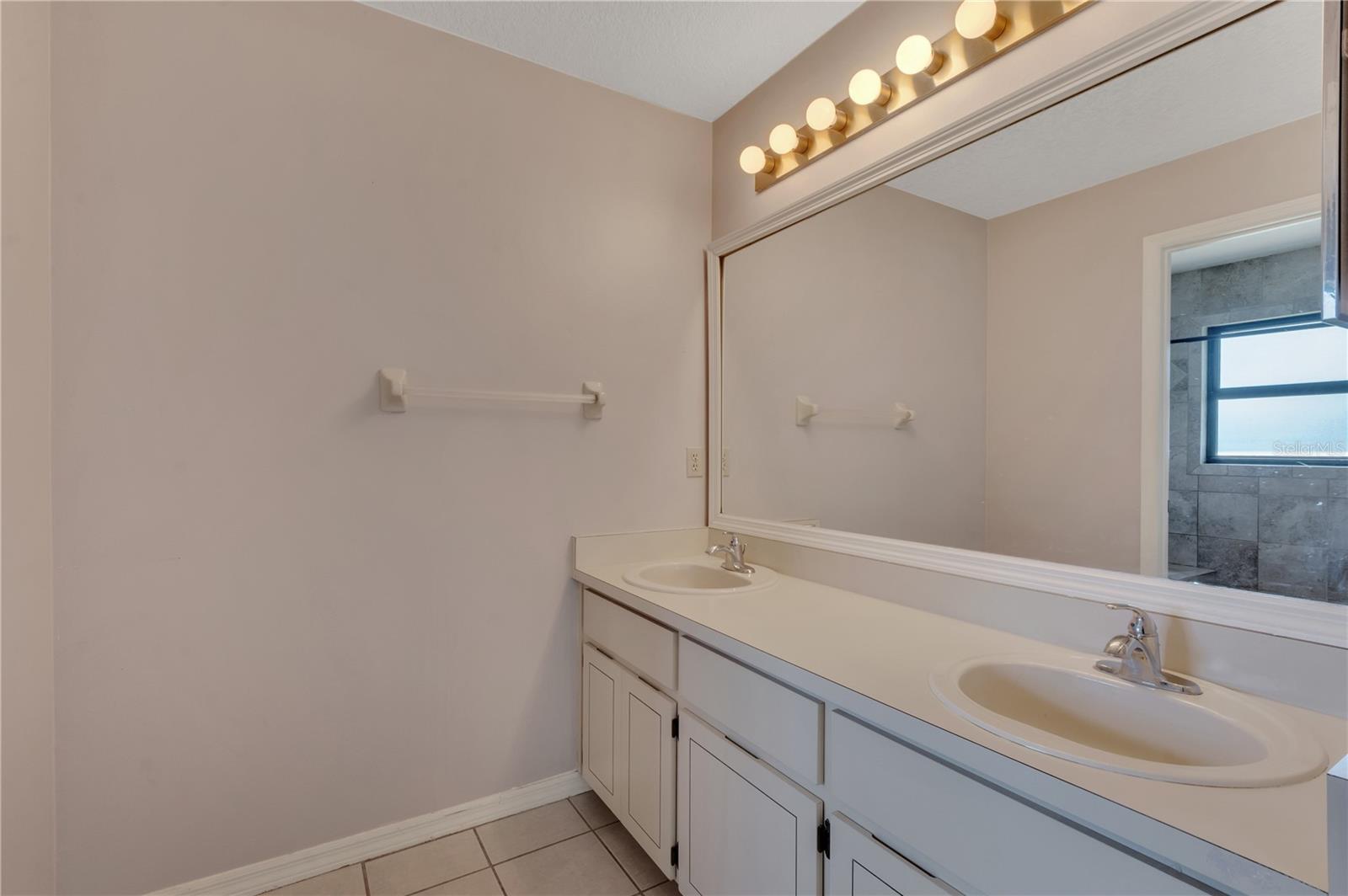 4809 BREEZY PALMS CT