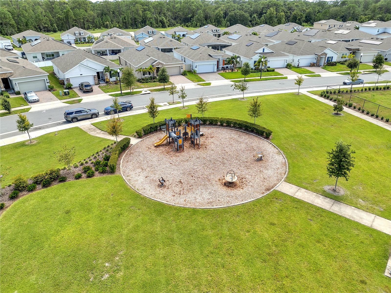 2799 COULTER PINE PL