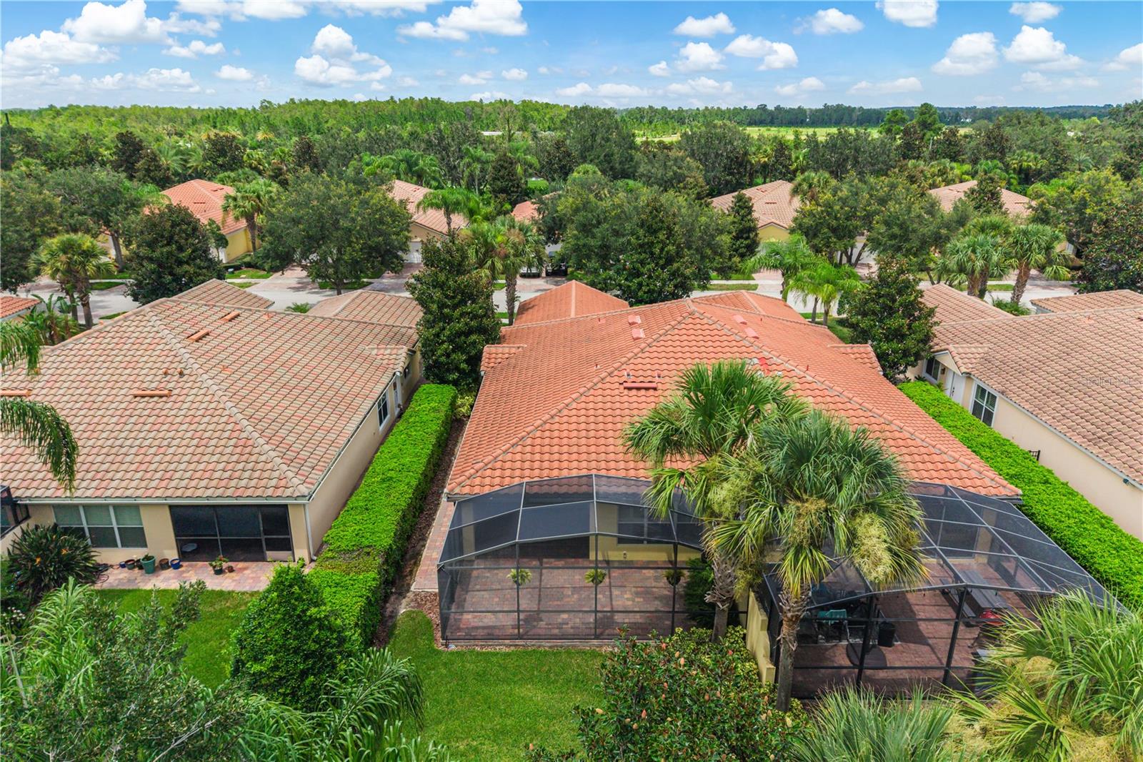 11951 FIORE DR