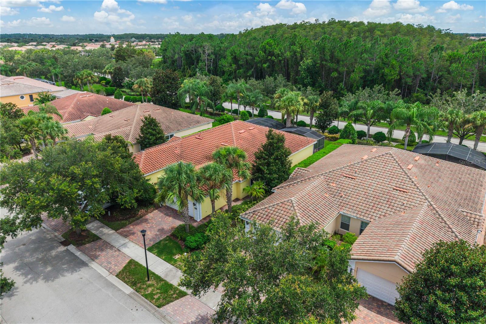 11951 FIORE DR