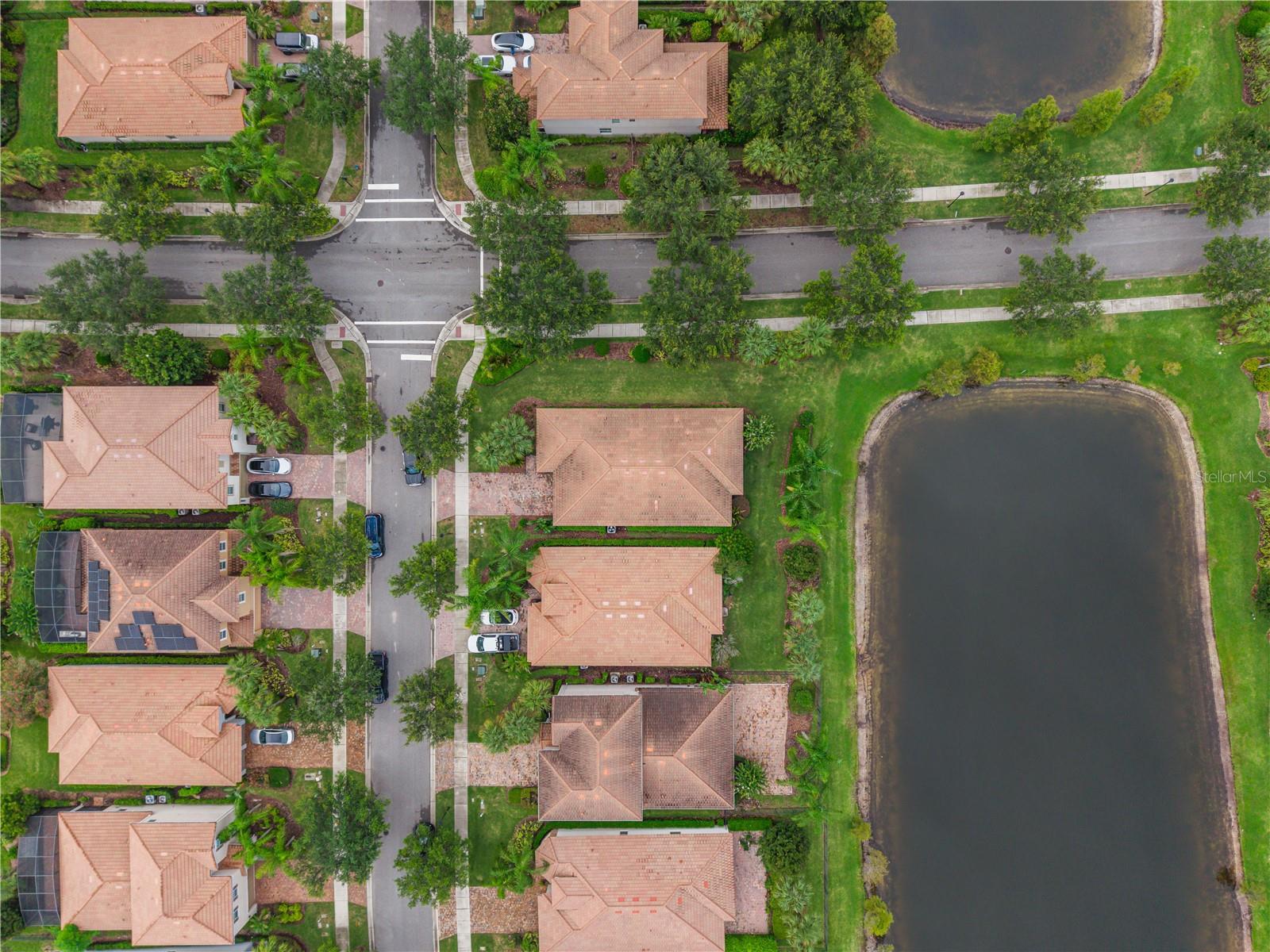 11905 AUTUMN FERN LN