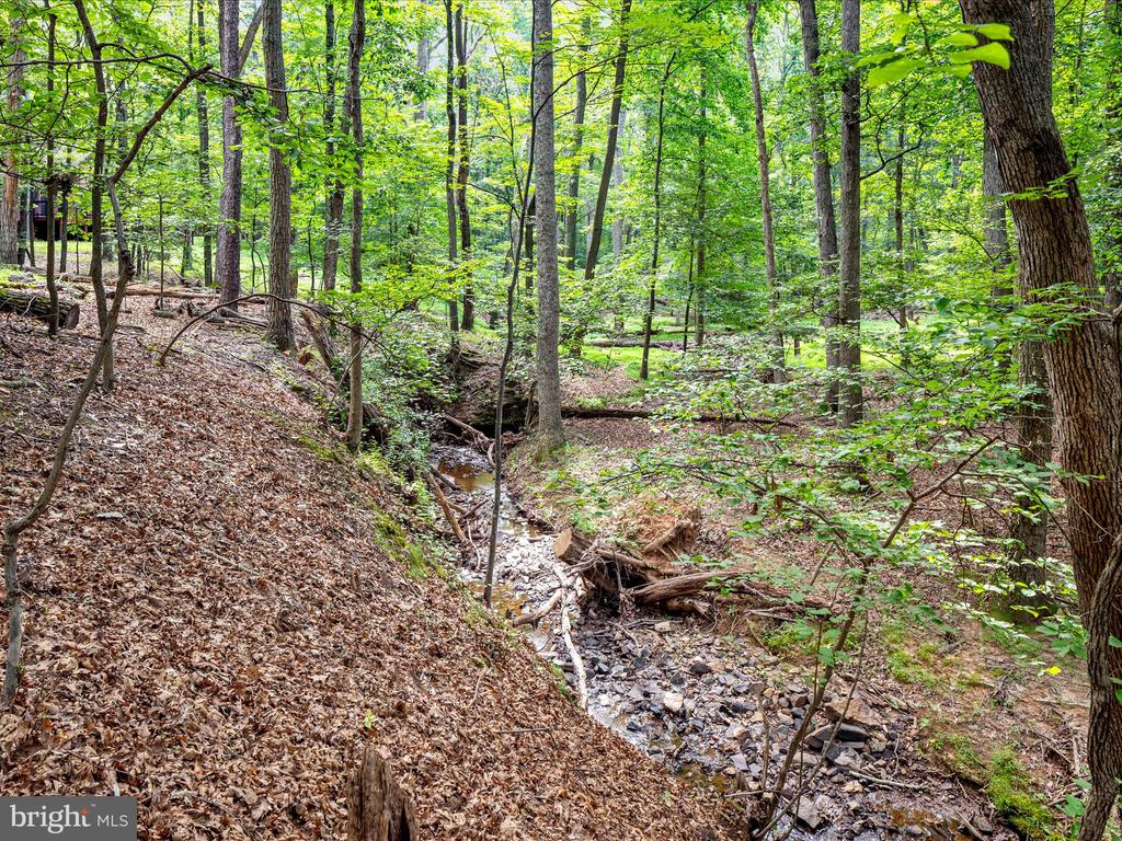 359 CAYUGA TRAIL
