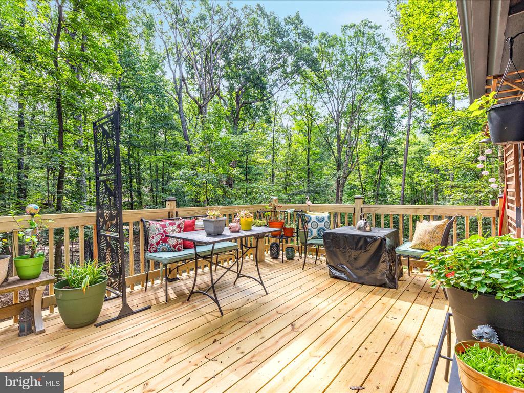 359 CAYUGA TRAIL