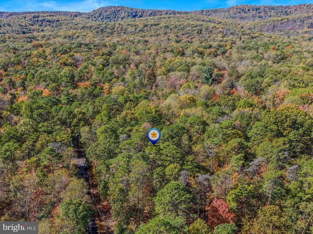 119 ALGONQUIN TRAIL