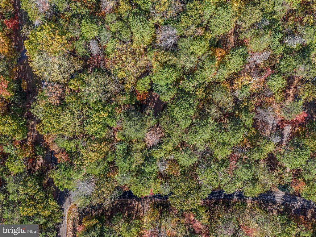 119 ALGONQUIN TRAIL