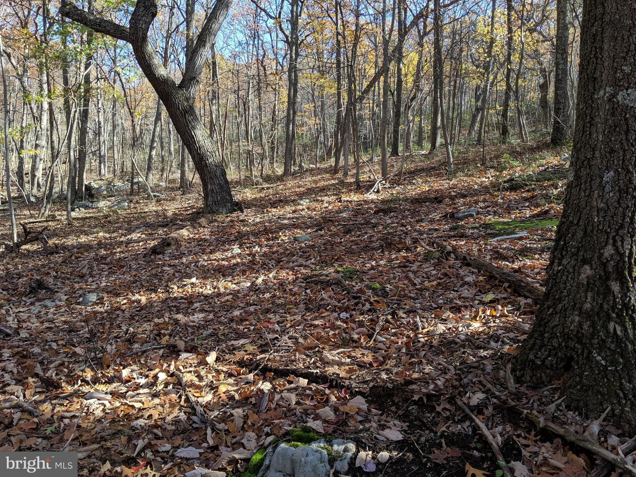 William Demoss Rd