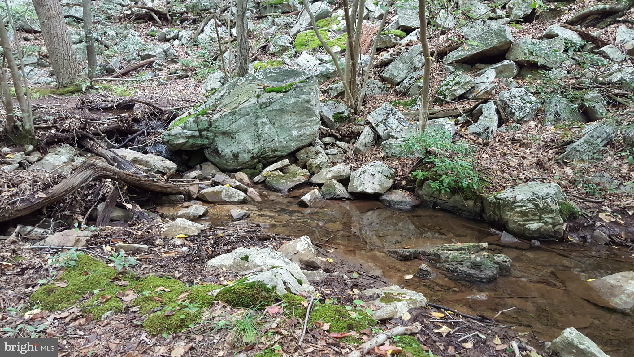 William Demoss Rd