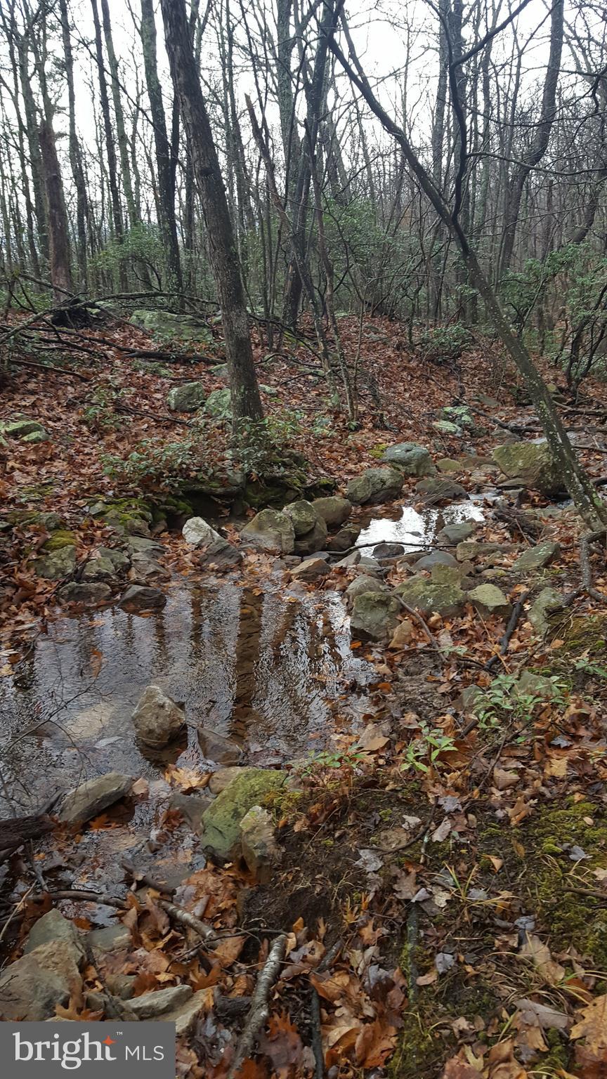 William Demoss Rd