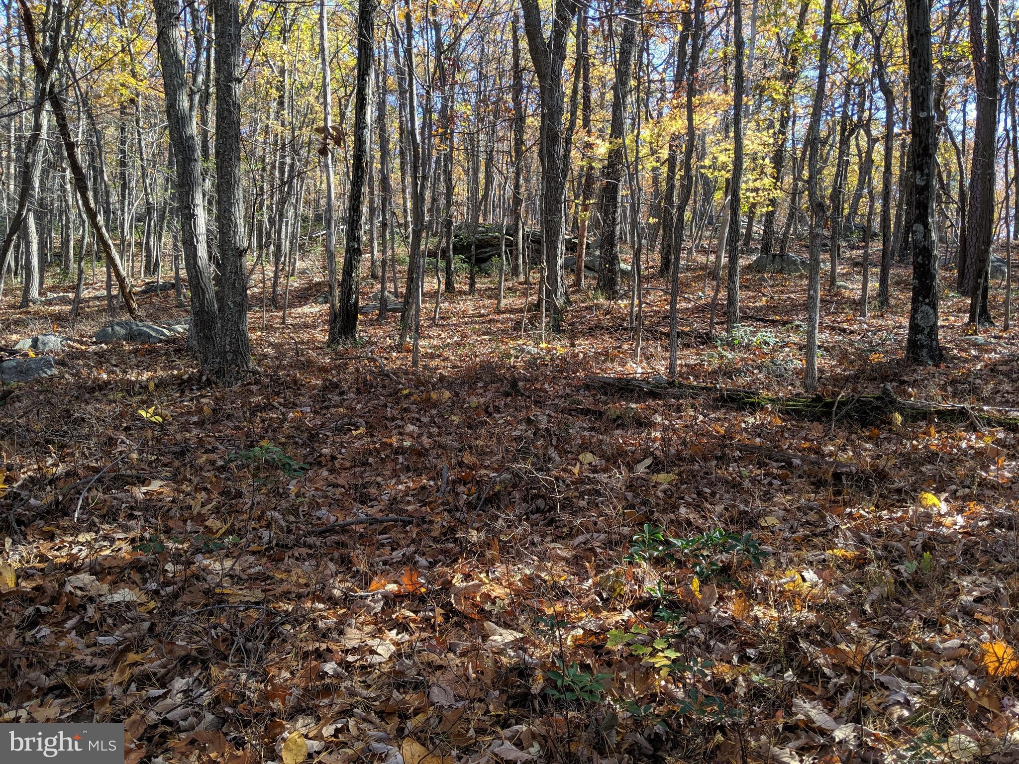 William Demoss Rd
