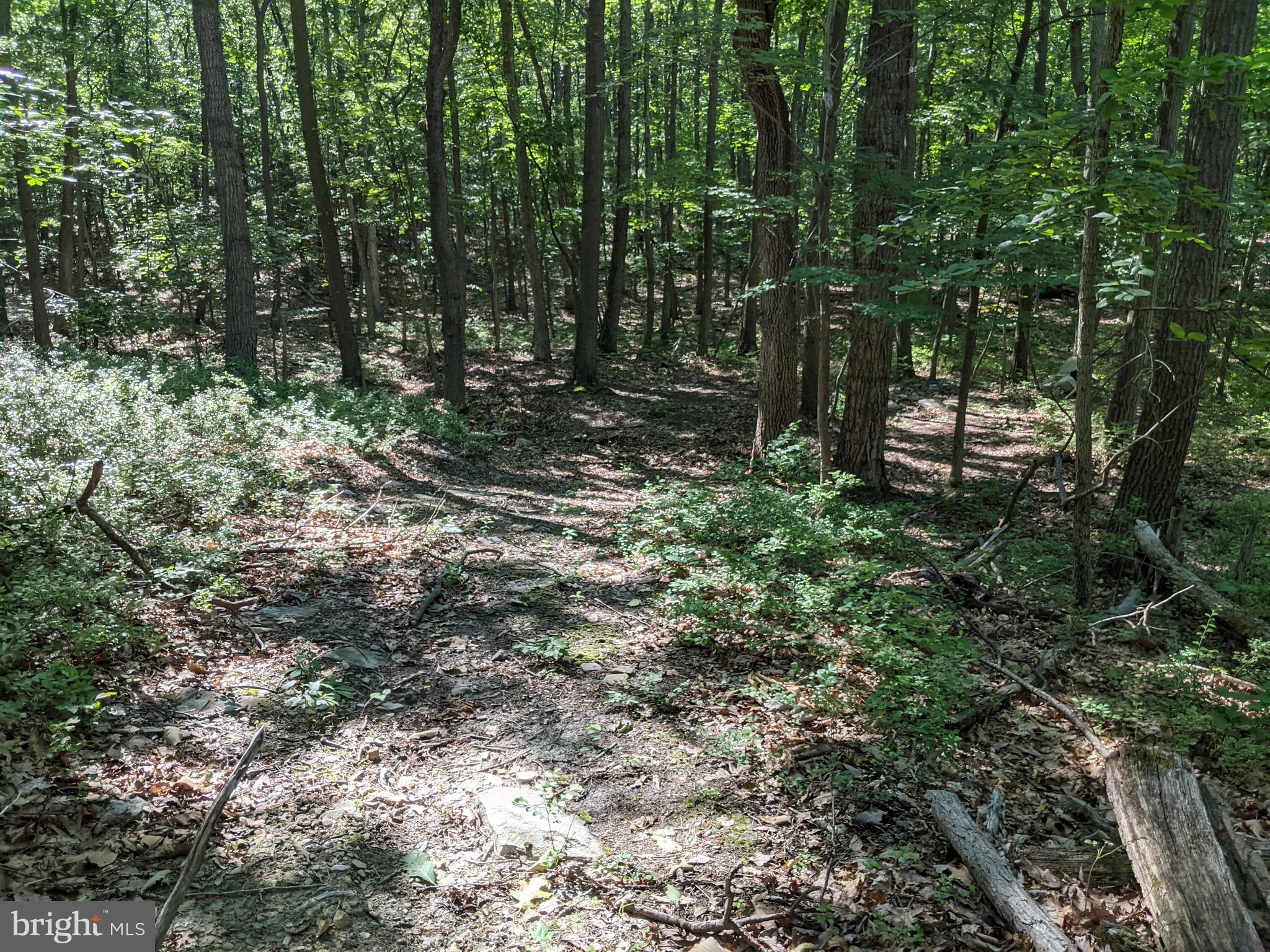 William Demoss Rd