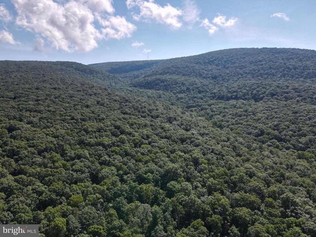 William Demoss Rd
