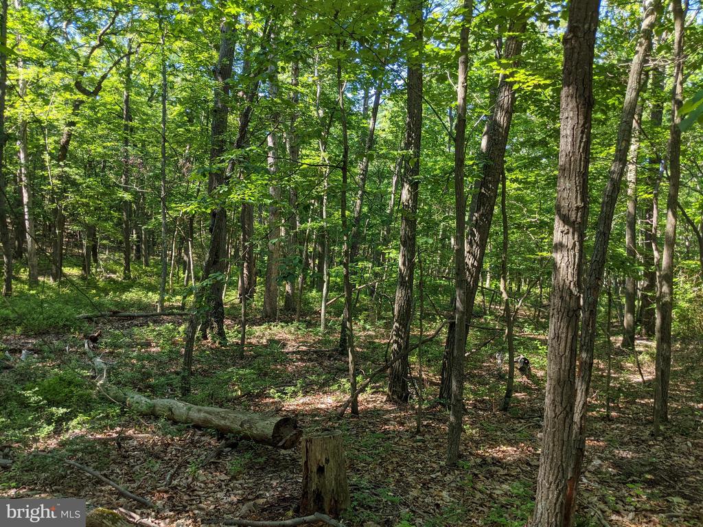William Demoss Rd