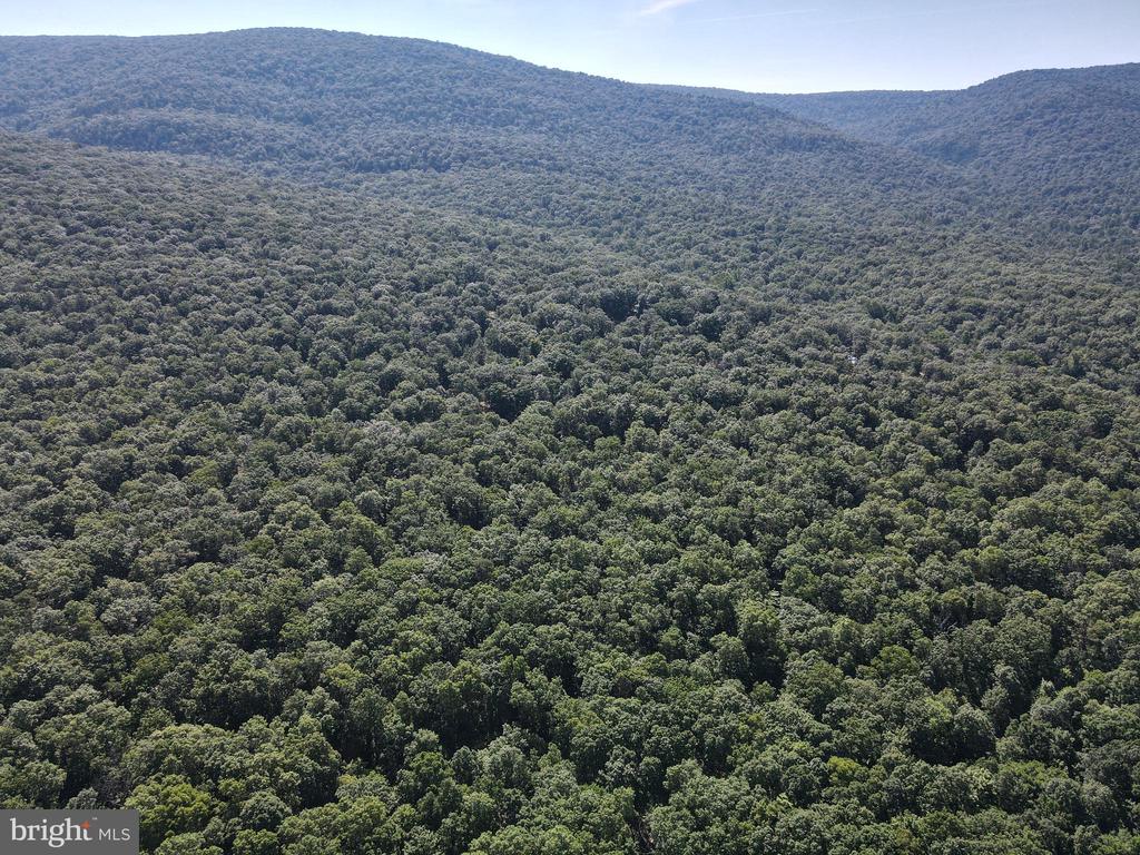 William Demoss Rd