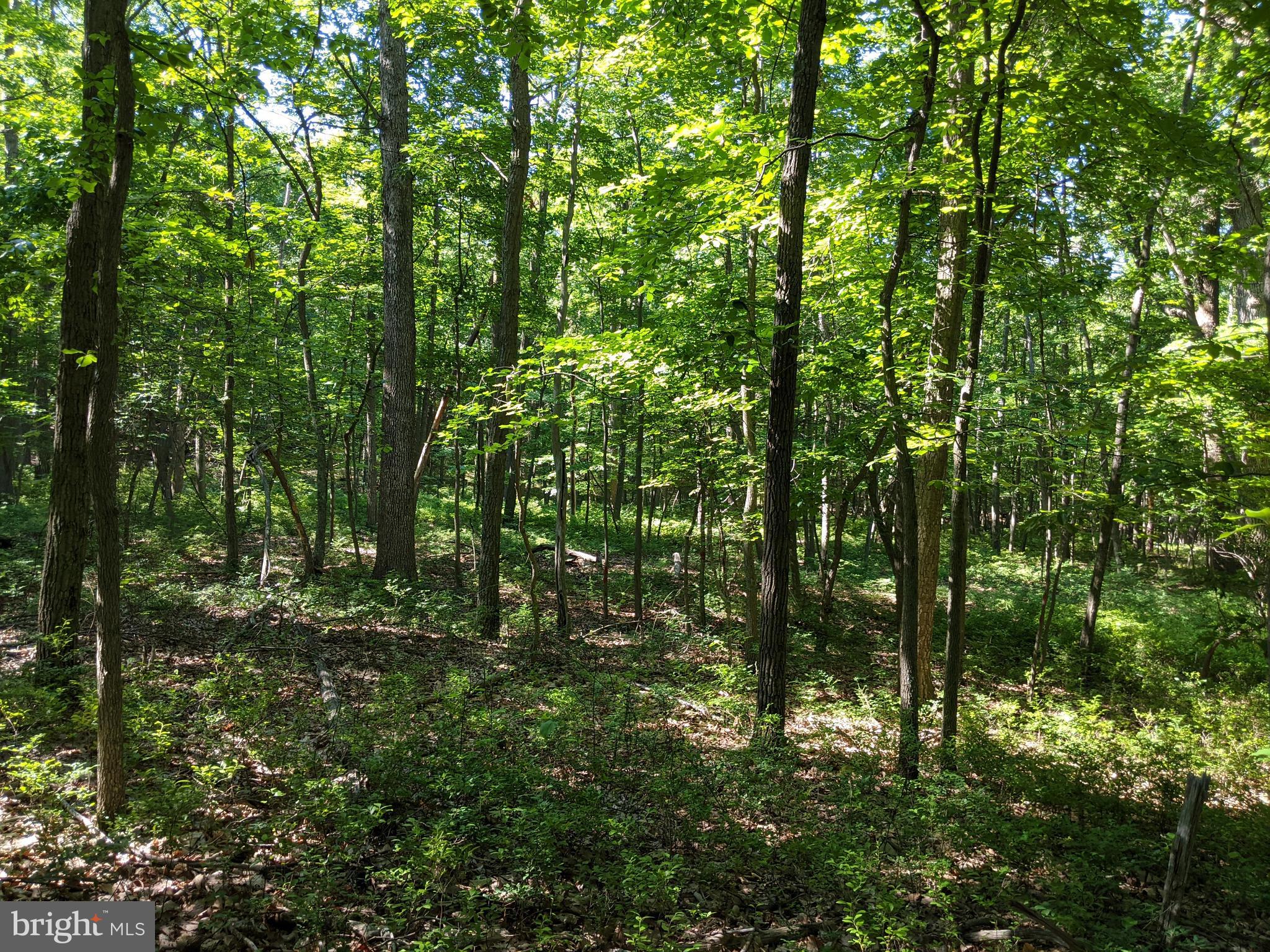 William Demoss Rd