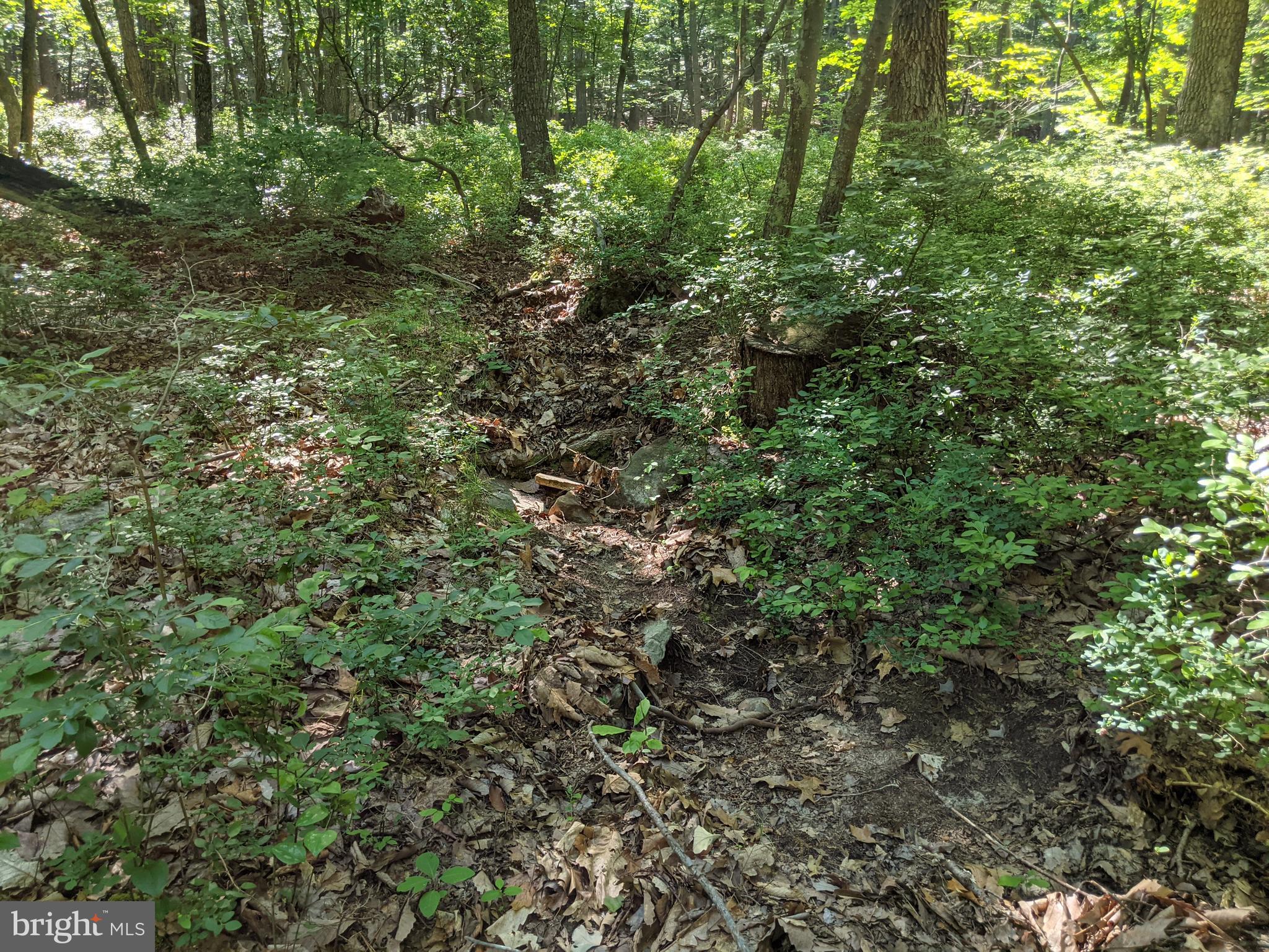 William Demoss Rd