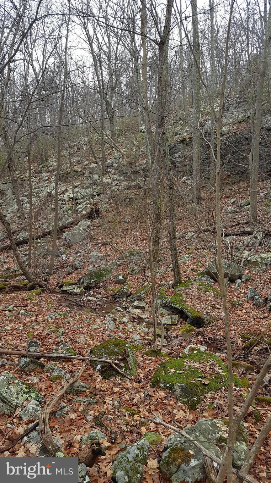 William Demoss Rd
