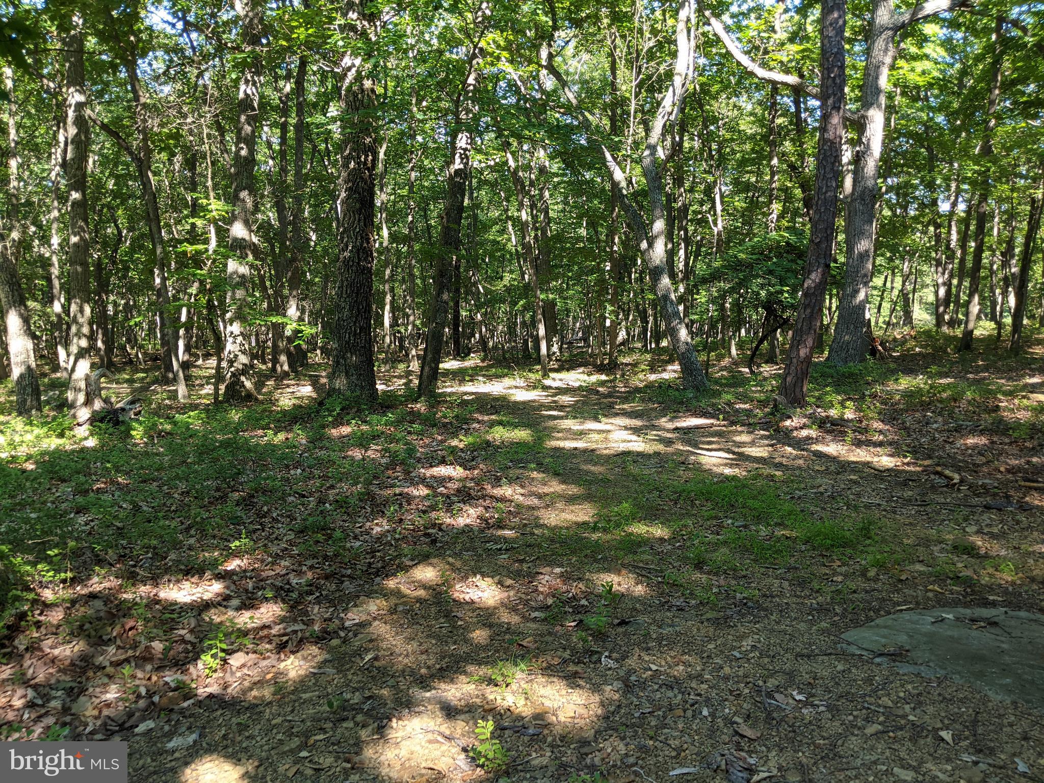 William Demoss Rd