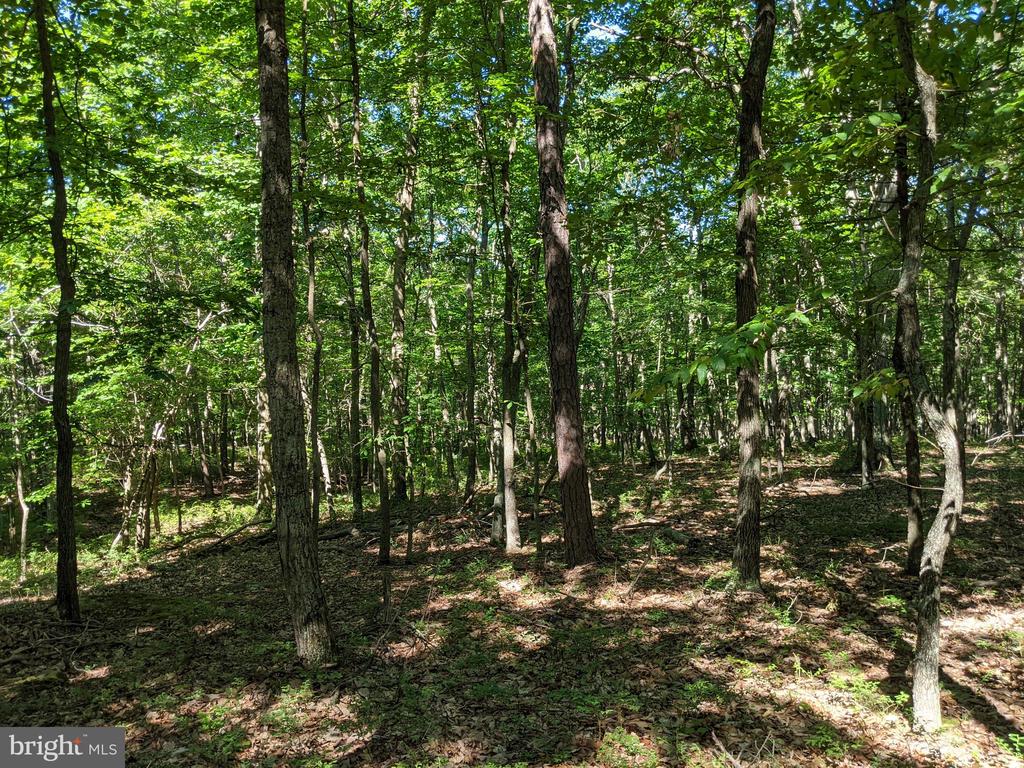 William Demoss Rd