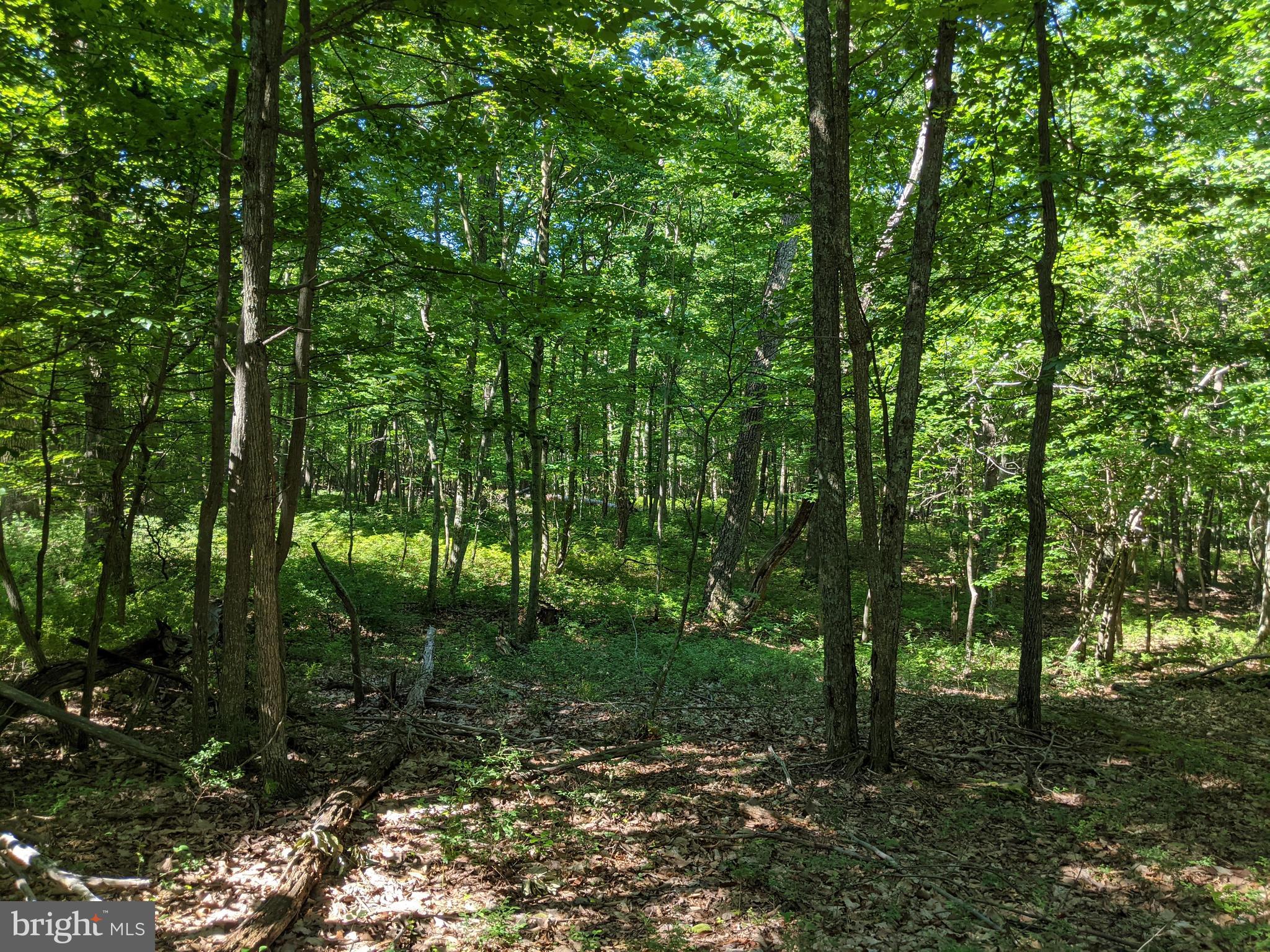 William Demoss Rd