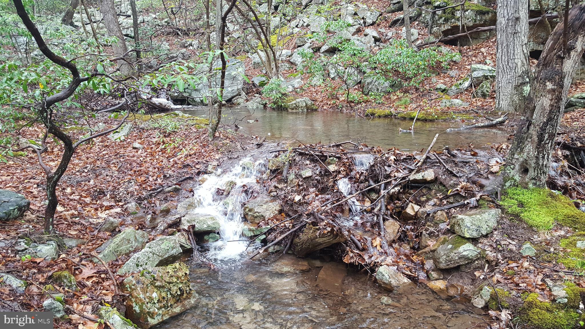 William Demoss Rd