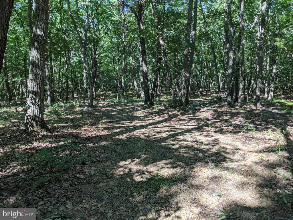 William Demoss Rd