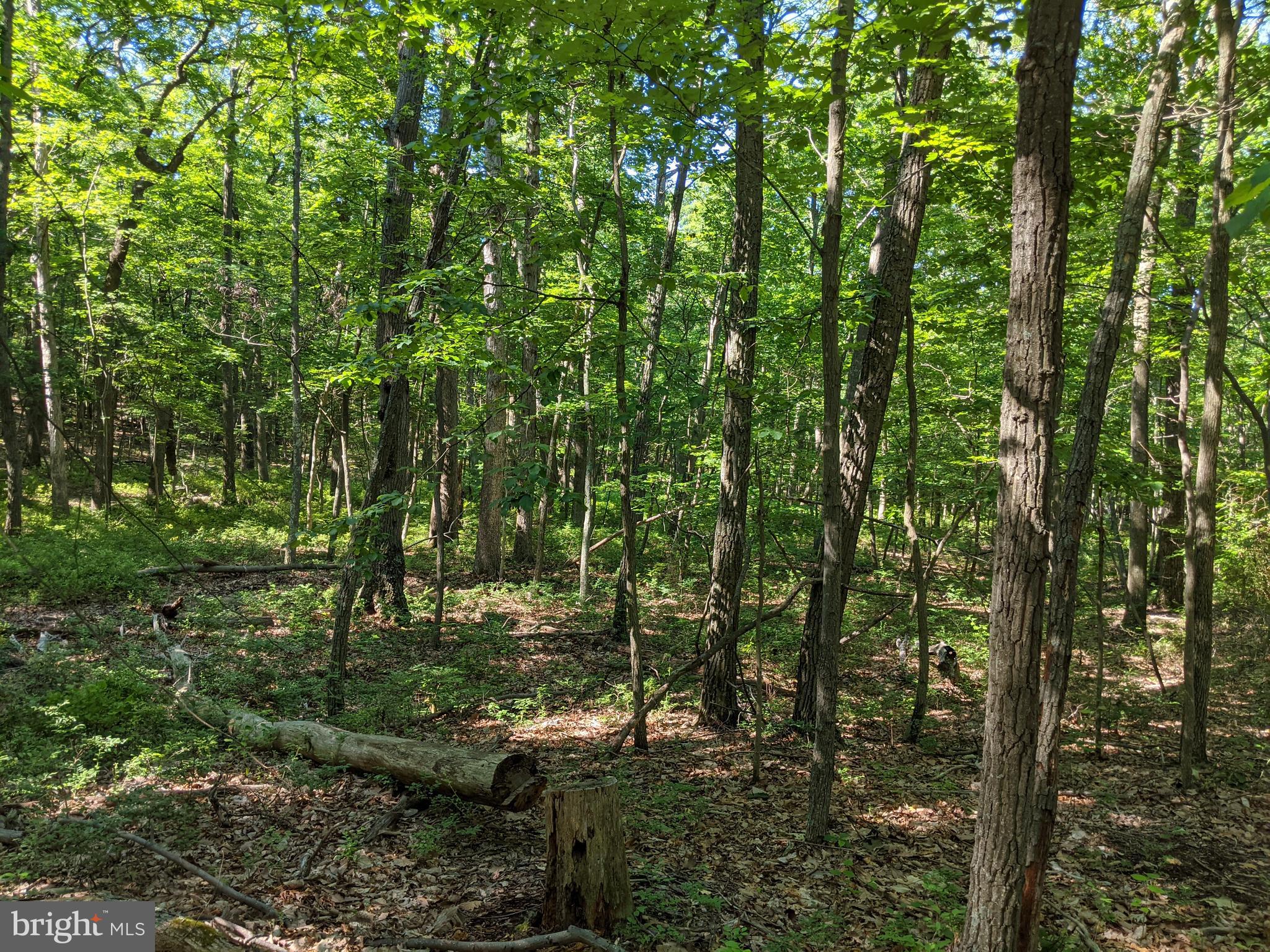 William Demoss Rd
