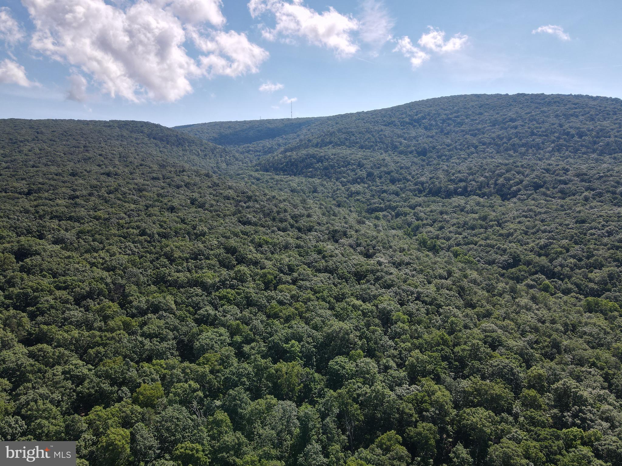 William Demoss Rd