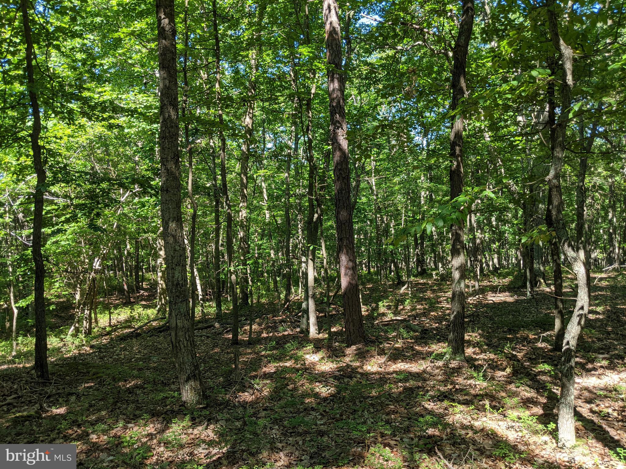 William Demoss Rd