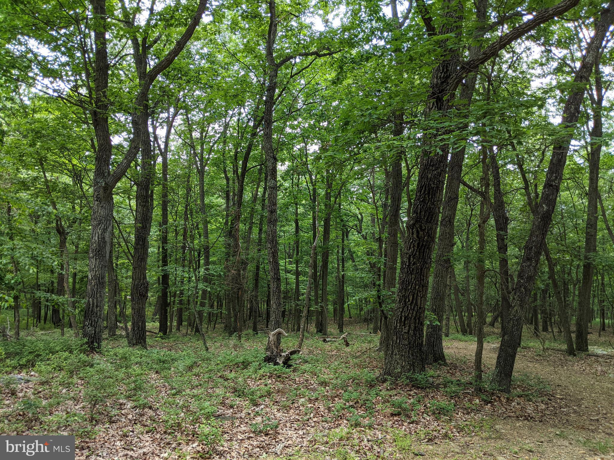 William Demoss Rd