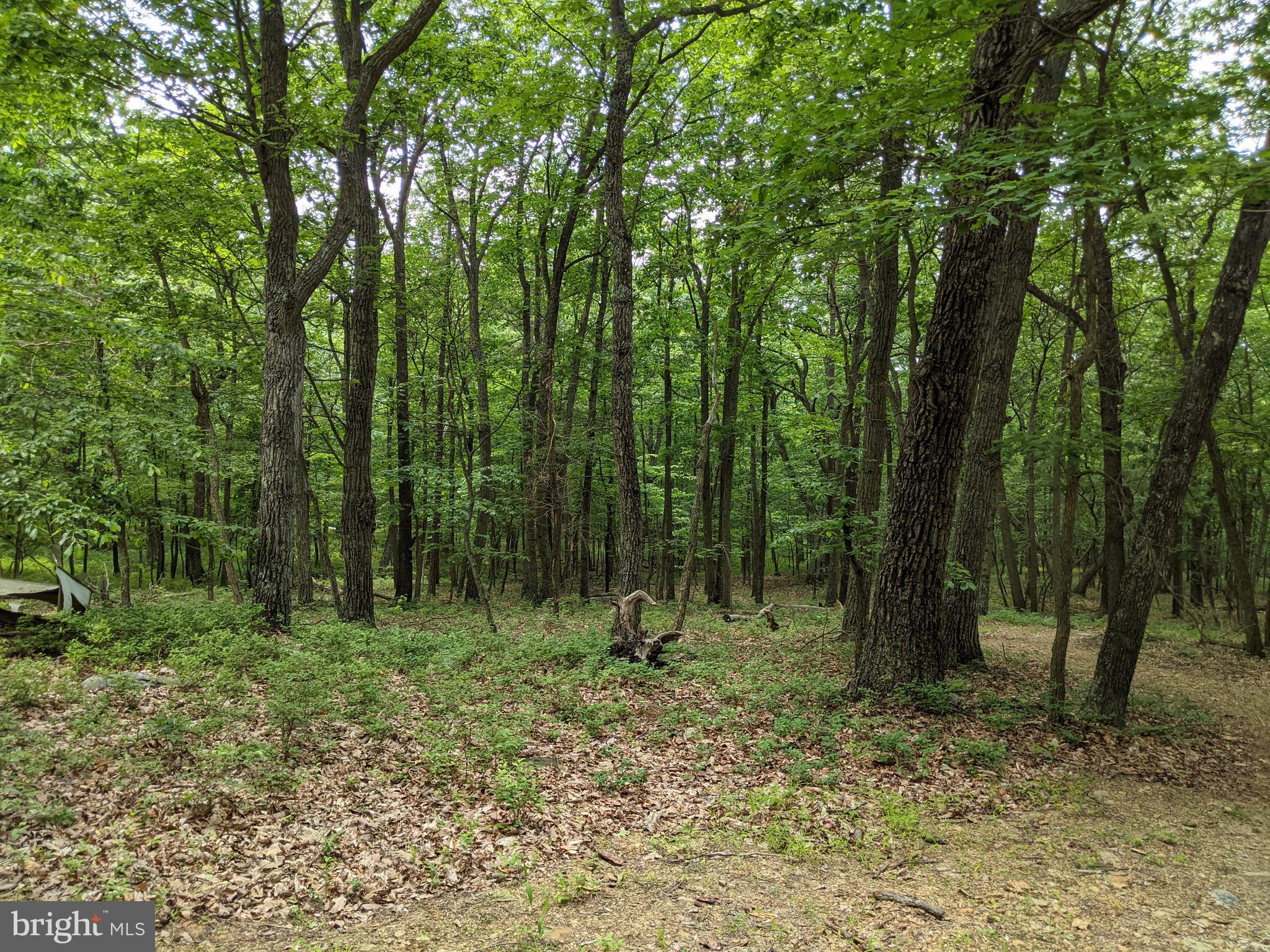 William Demoss Rd